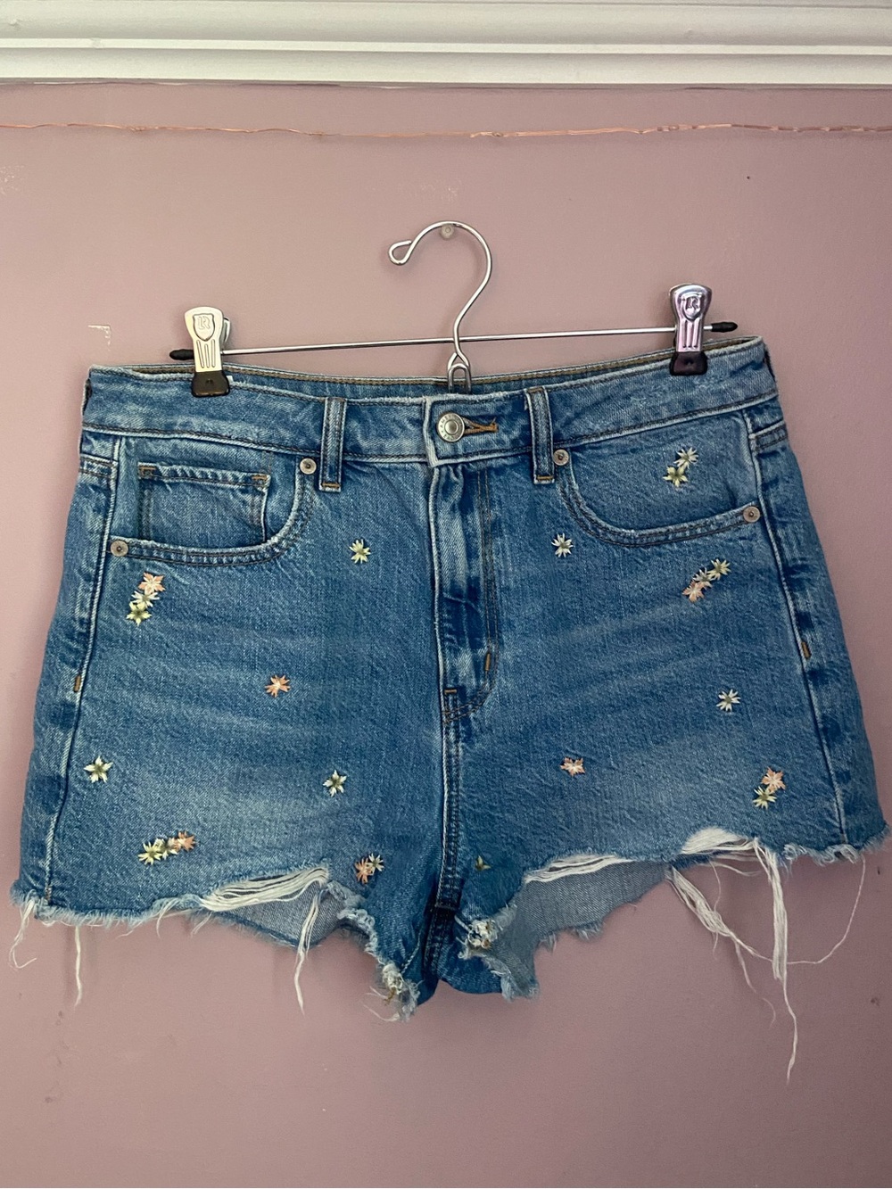 American Eagle Embroidered Jean Shorts